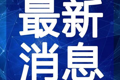 石湾热点爆料新闻视频最新  第1张